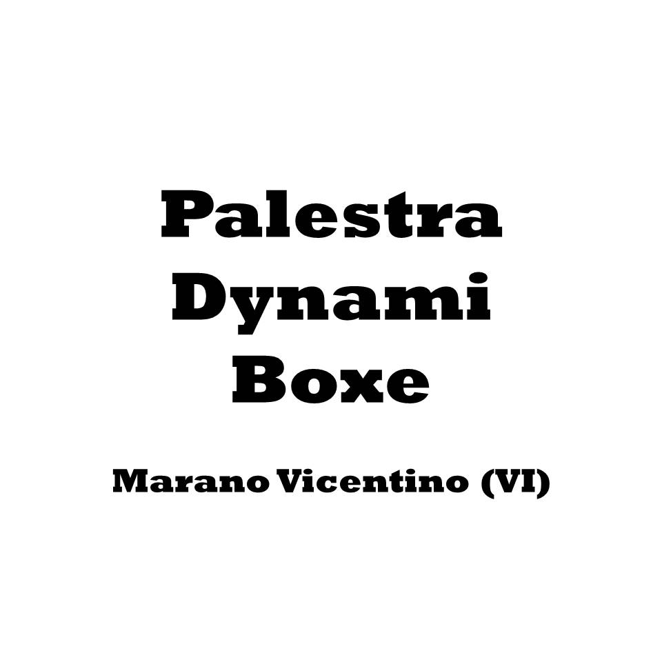 Palestra dynami boxe marano vicentino thiene vicenza